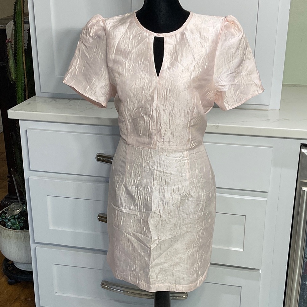 Chic Blush TCEC Mini Dress